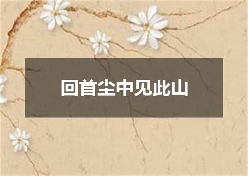 回首尘中见此山