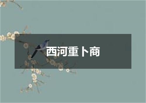 西河重卜商