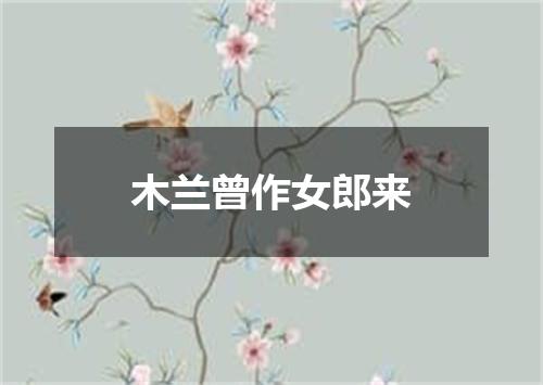 木兰曾作女郎来