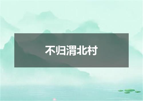 不归渭北村