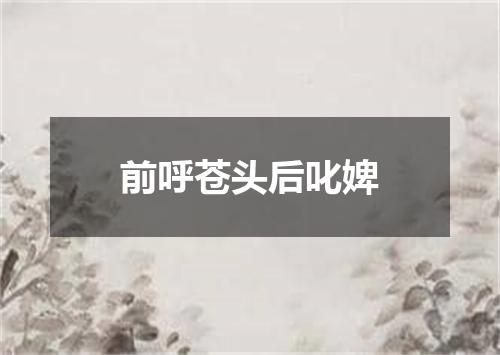 前呼苍头后叱婢