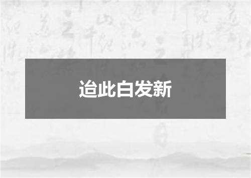 迨此白发新