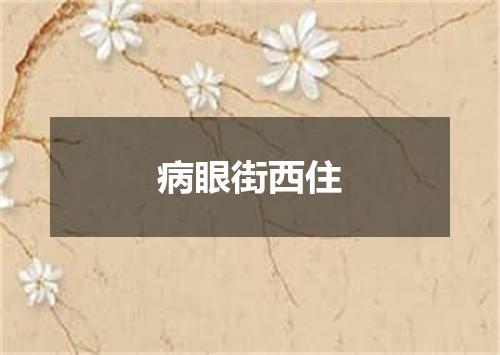 病眼街西住
