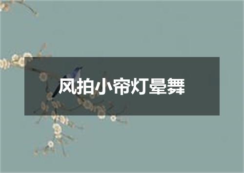 风拍小帘灯晕舞