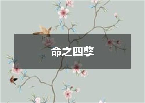 命之四孽