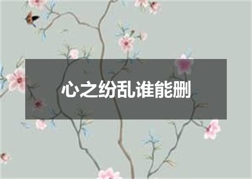 心之纷乱谁能删