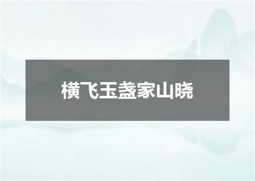 横飞玉盏家山晓