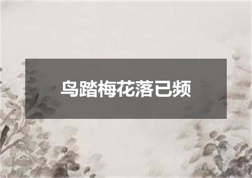 鸟踏梅花落已频