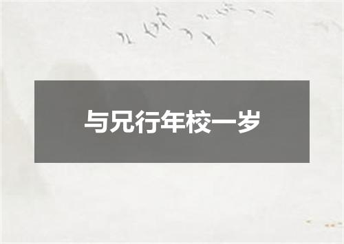 与兄行年校一岁