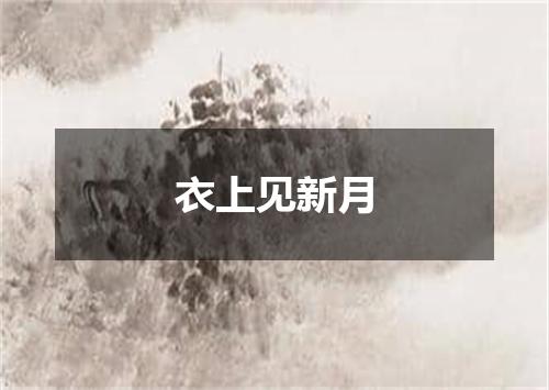衣上见新月