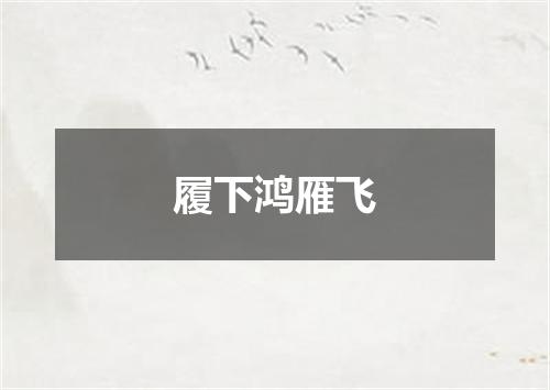 履下鸿雁飞