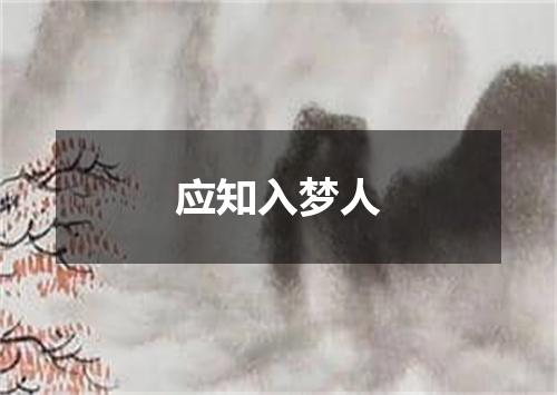 应知入梦人