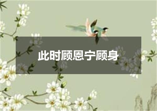 此时顾恩宁顾身