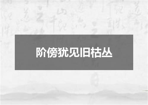 阶傍犹见旧枯丛