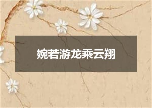 婉若游龙乘云翔