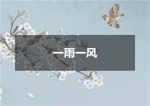 一雨一风
