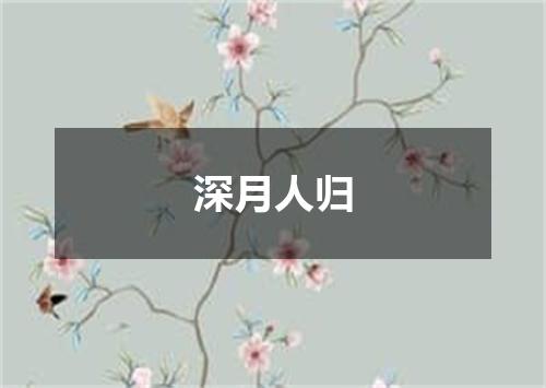 深月人归