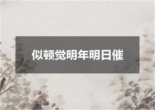 似顿觉明年明日催