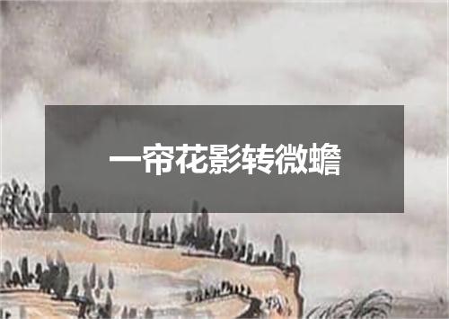 一帘花影转微蟾