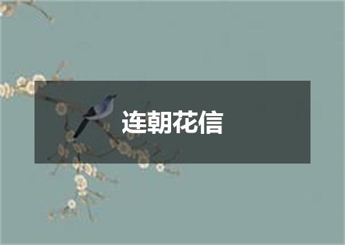 连朝花信