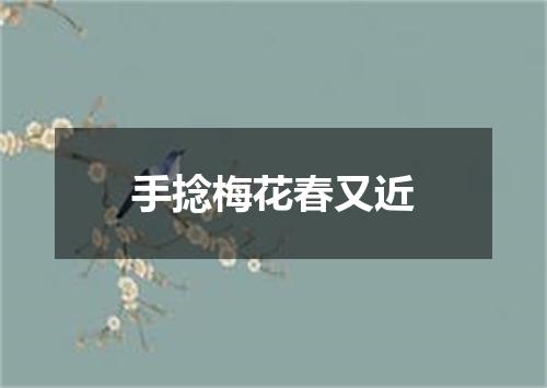 手捻梅花春又近
