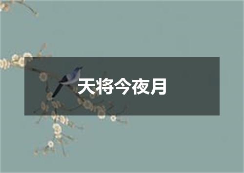 天将今夜月