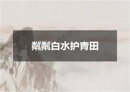 粼粼白水护青田