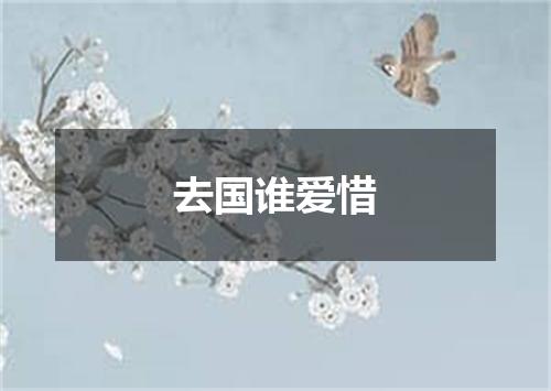 去国谁爱惜