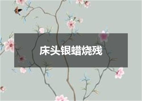 床头银蜡烧残