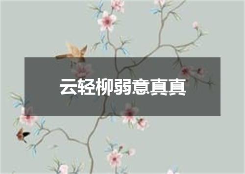 云轻柳弱意真真