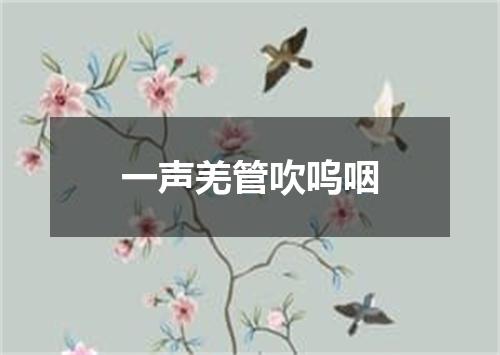 一声羌管吹呜咽