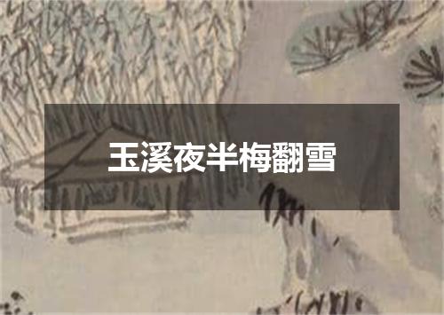 玉溪夜半梅翻雪