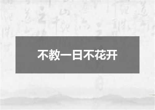 不教一日不花开