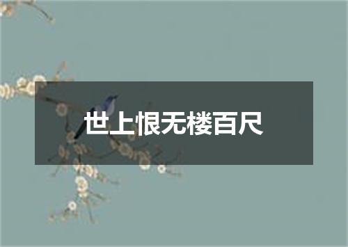 世上恨无楼百尺