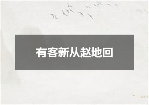 有客新从赵地回