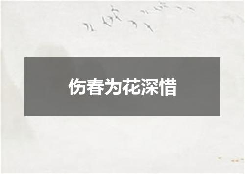 伤春为花深惜