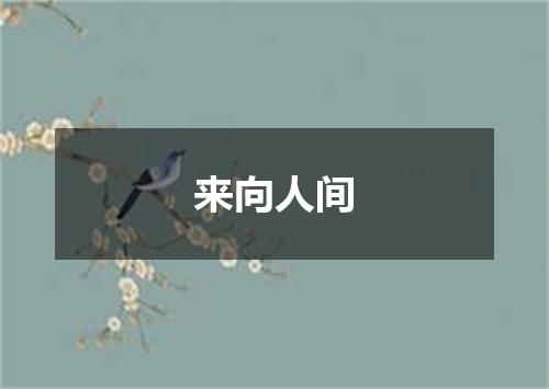 来向人间