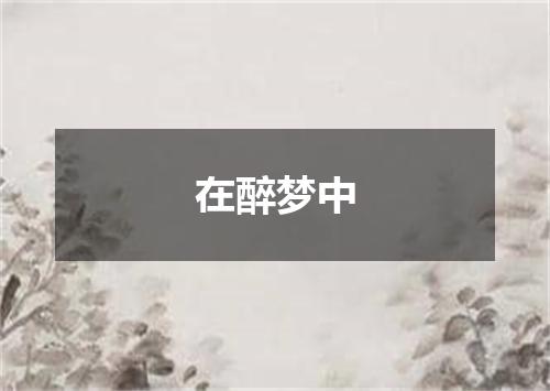 在醉梦中