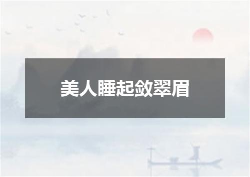 美人睡起敛翠眉