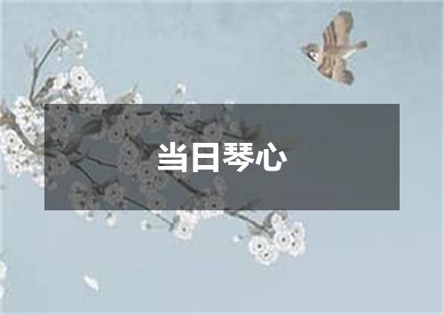 当日琴心
