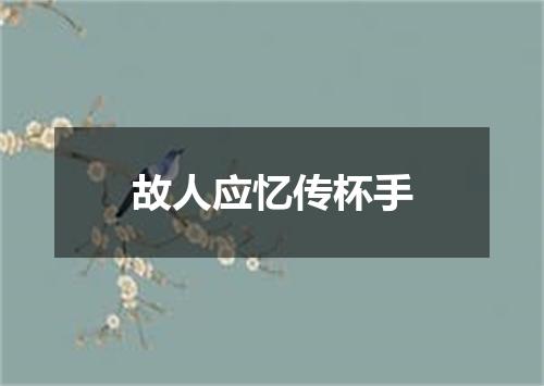 故人应忆传杯手