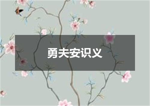 勇夫安识义