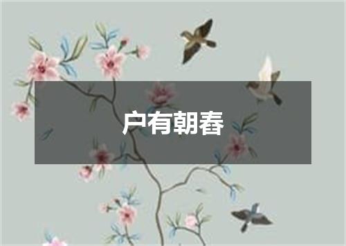 户有朝舂