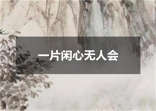 一片闲心无人会