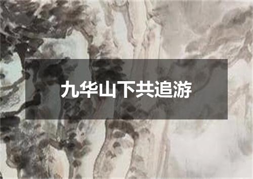 九华山下共追游