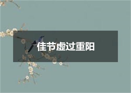 佳节虚过重阳
