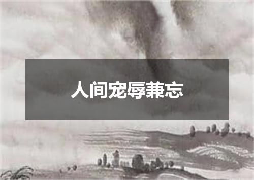人间宠辱兼忘