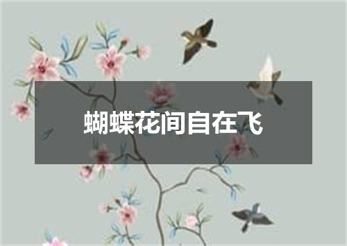 蝴蝶花间自在飞