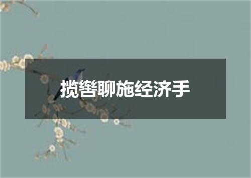 揽辔聊施经济手