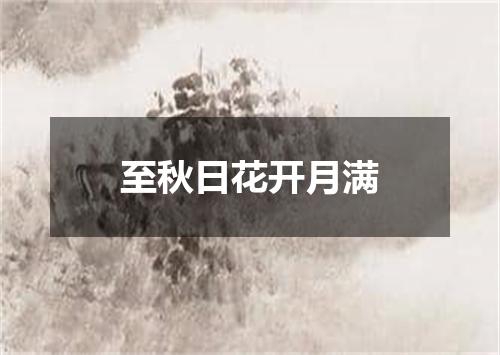 至秋日花开月满